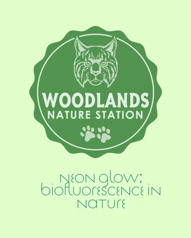 Light green background. Green Woodlands Nature Station Logo.